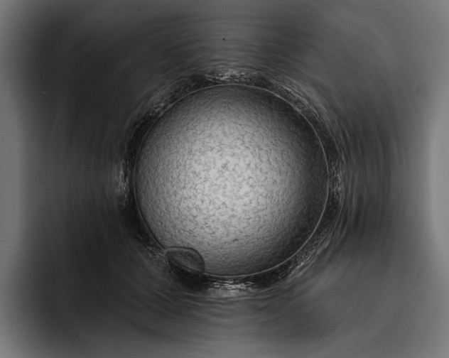 X0000093110607200710101023