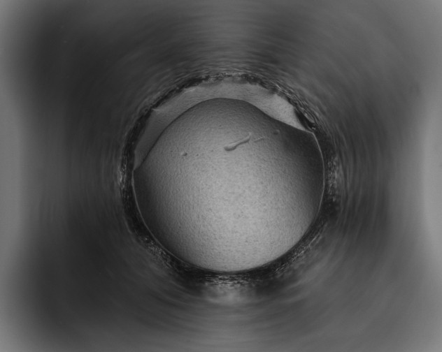 X0000093110608200710101023