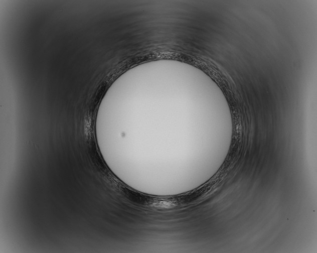 X0000093110610200710101023