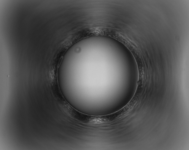 X0000093110611200710101023