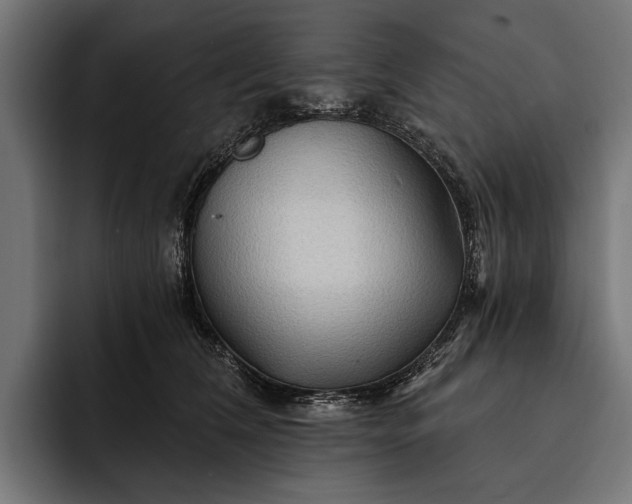 X0000093110612200710101023