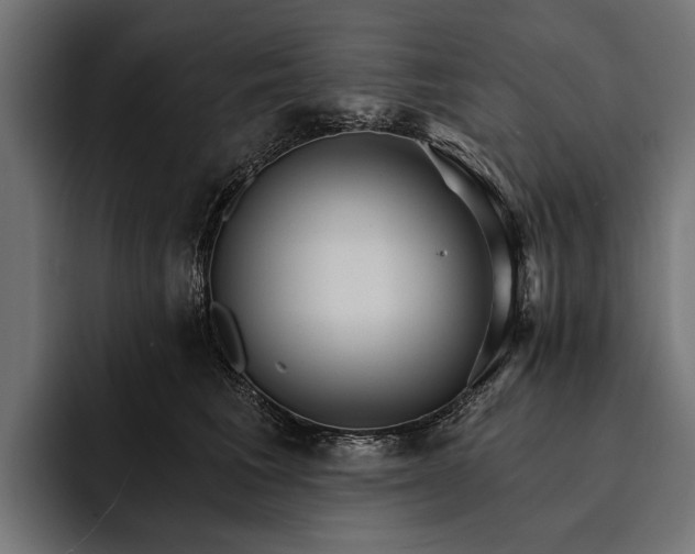 X0000093110613200710101023