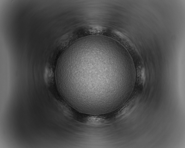 X0000093110614200710101023