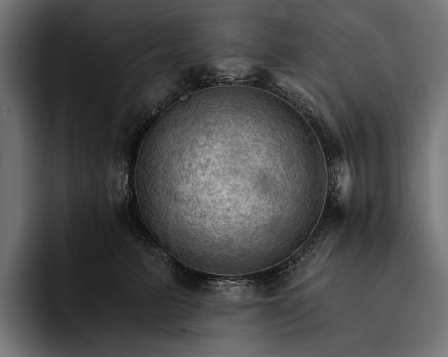 X0000093110615200710101023