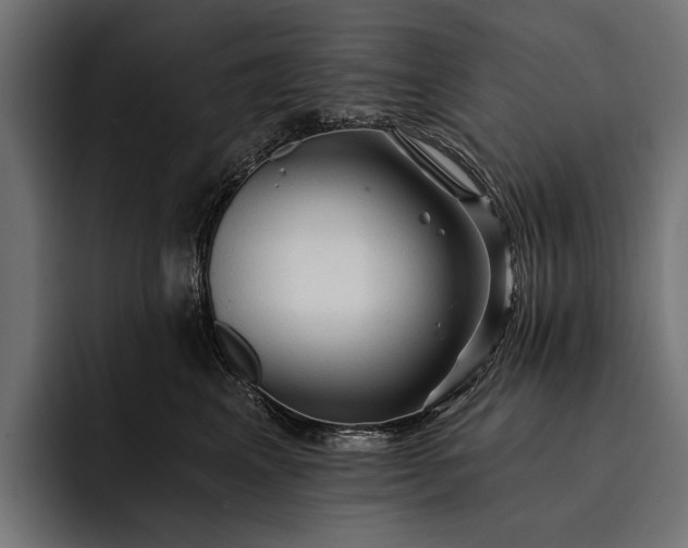 X0000093110617200710101023