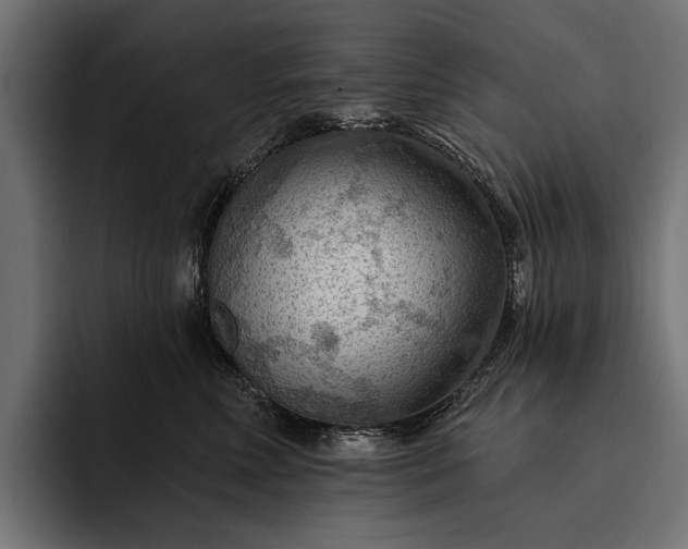 X0000093110618200710101023