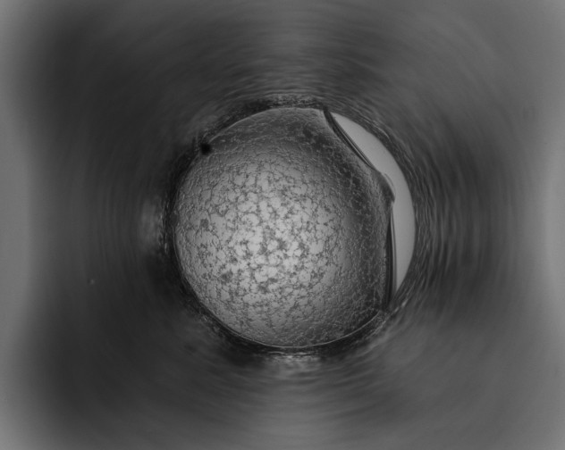 X0000093110619200710101023