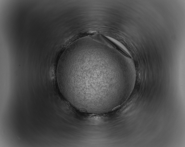 X0000093110620200710101023