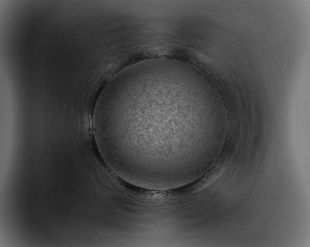 X0000093110624200710101023