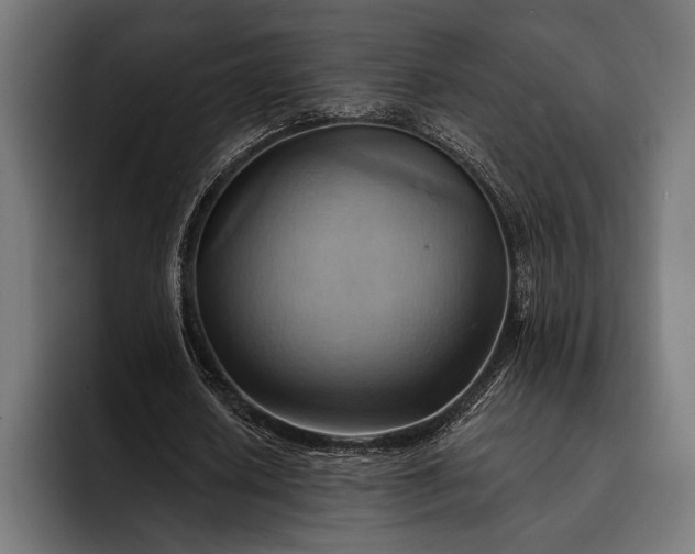 X0000093110626200710101022