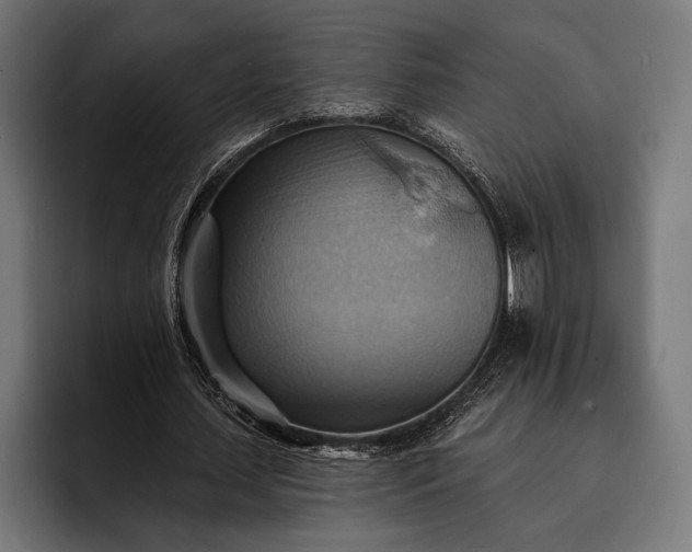 X0000093110627200710101022