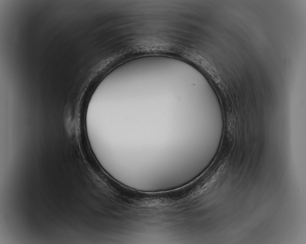 X0000093110629200710101022