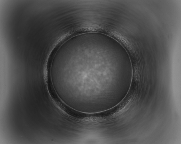 X0000093110630200710101022