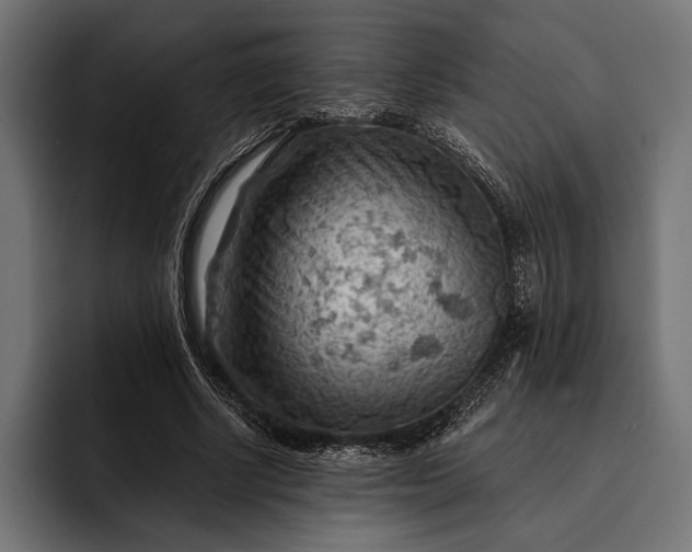 X0000093110634200710101022