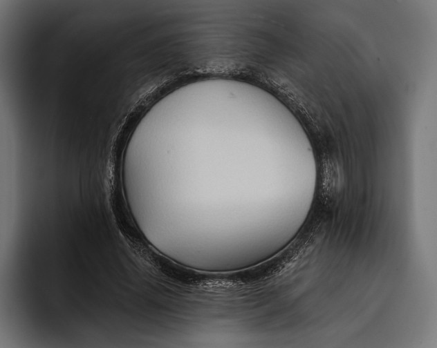 X0000093110636200710101022