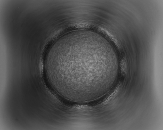 X0000093110637200710101022