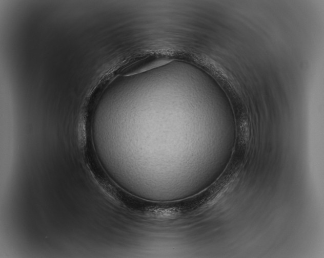 X0000093110638200710101022