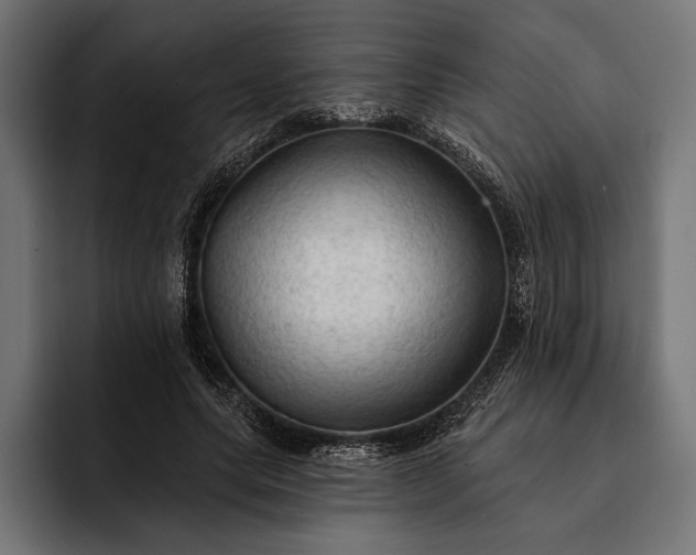 X0000093110639200710101022