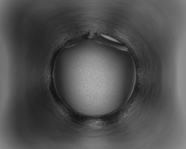 X0000093110642200710101022