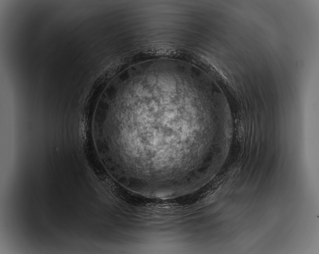 X0000093110643200710101022