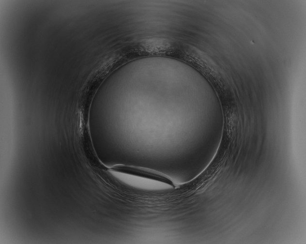 X0000093110644200710101022