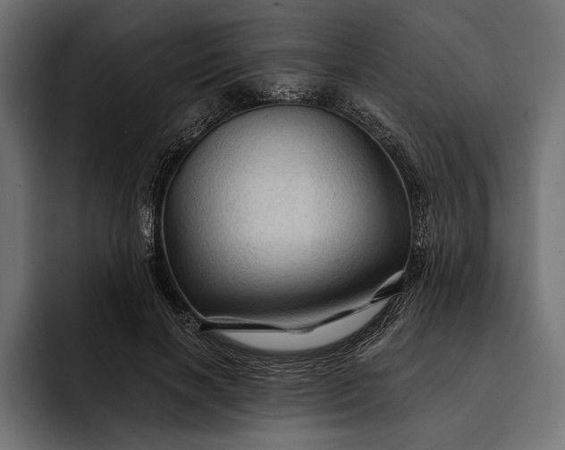 X0000093110646200710101022