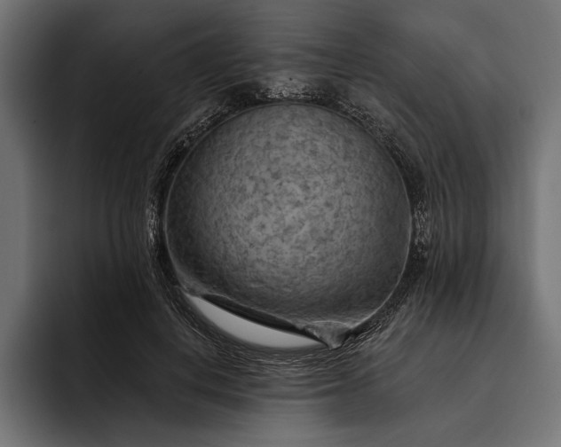 X0000093110648200710101022