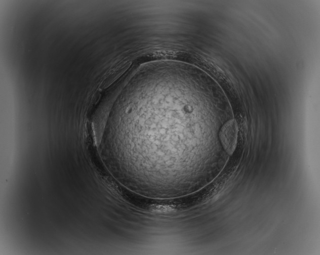 X0000093110649200710101022