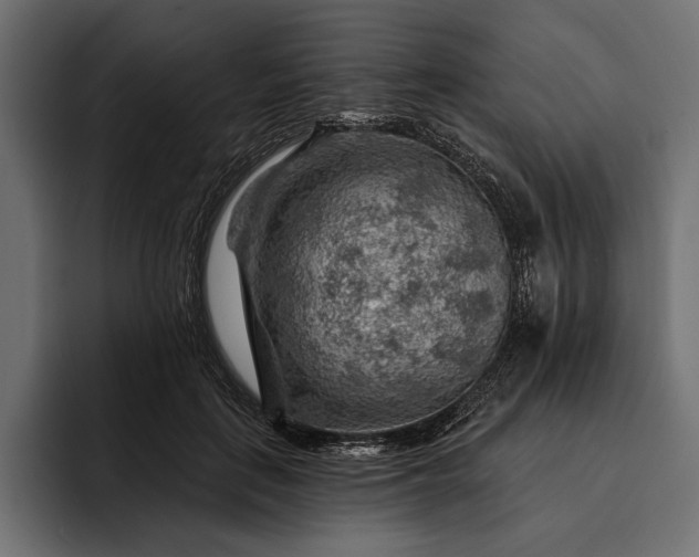 X0000093110651200710101023