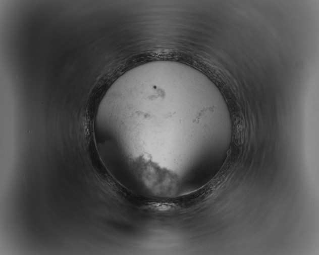 X0000093110654200710101023