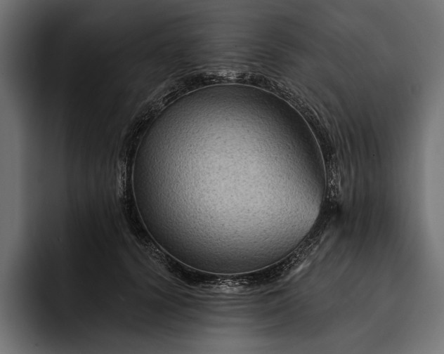 X0000093110656200710101023