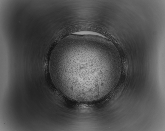 X0000093110657200710101023