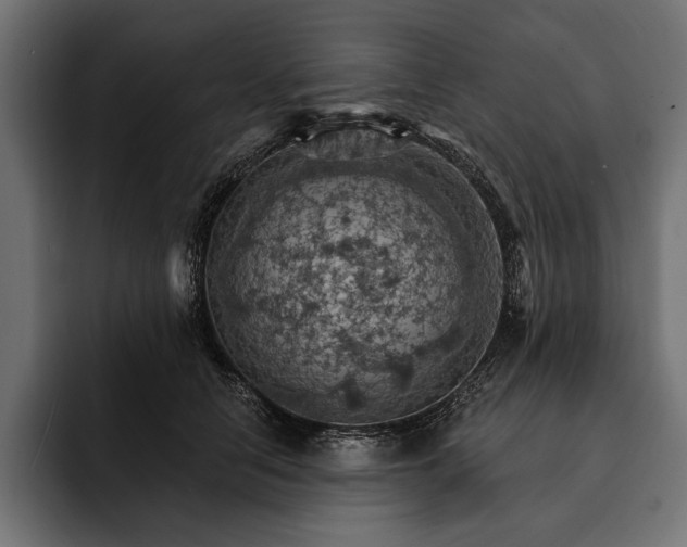 X0000093110658200710101023