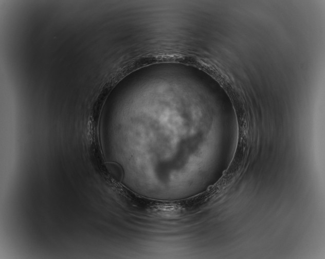 X0000093110659200710101023