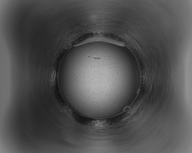 X0000093110660200710101023