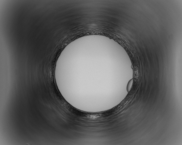 X0000093110662200710101023