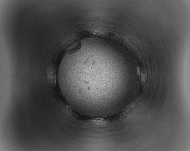 X0000093110666200710101023