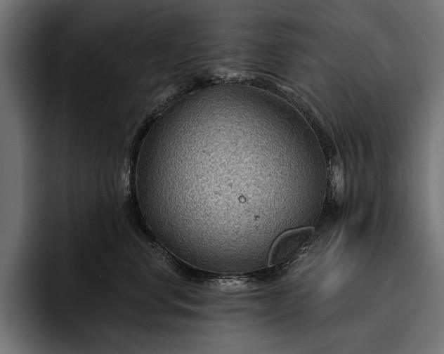 X0000093110668200710101023