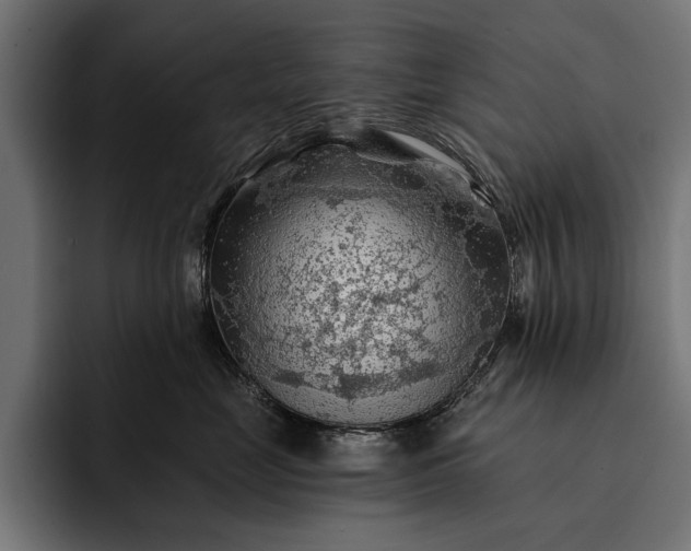 X0000093110669200710101023