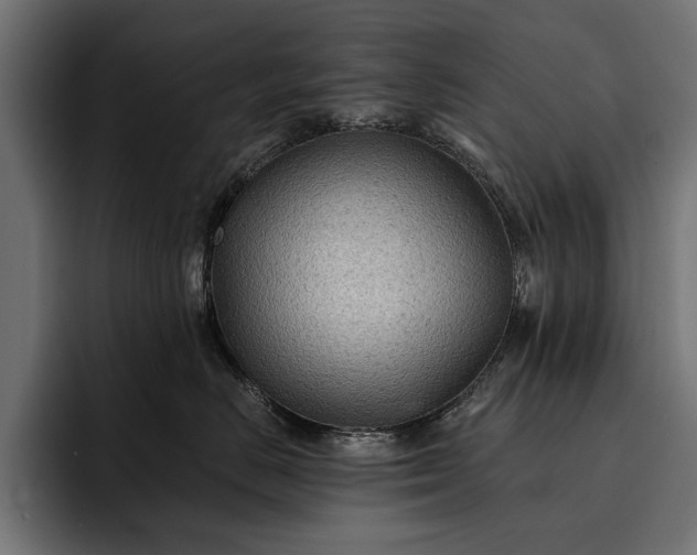 X0000093110670200710101023