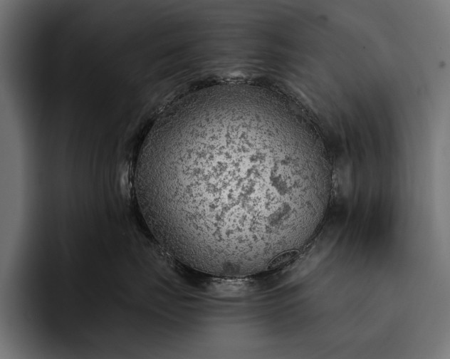 X0000093110671200710101023