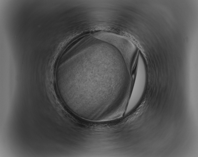 X0000093110673200710101022