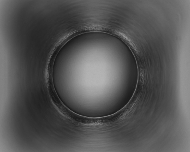 X0000093110674200710101022