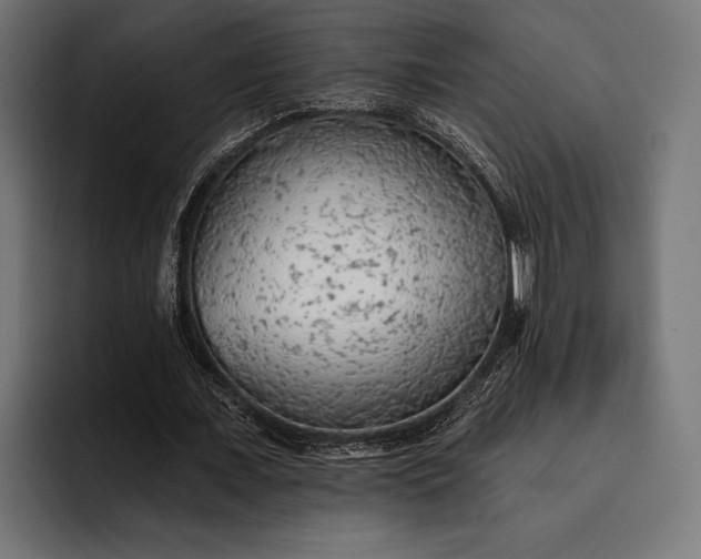 X0000093110675200710101022