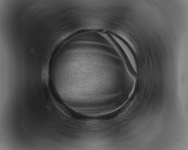 X0000093110677200710101022