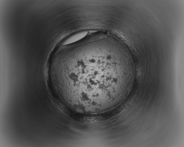 X0000093110679200710101022