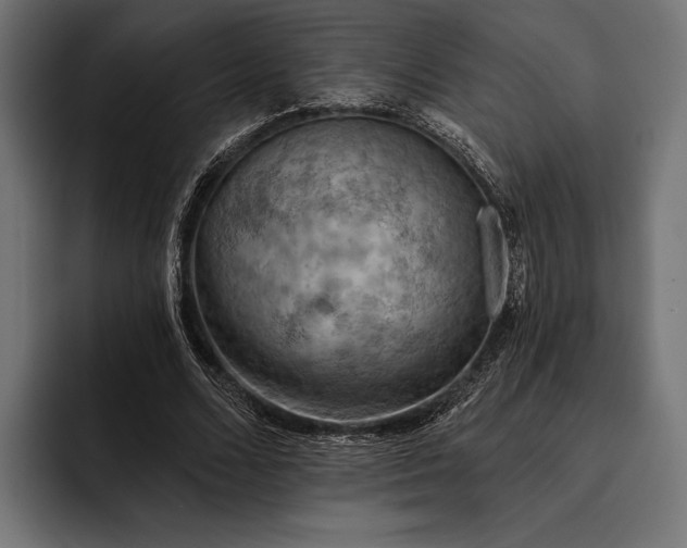 X0000093110680200710101022