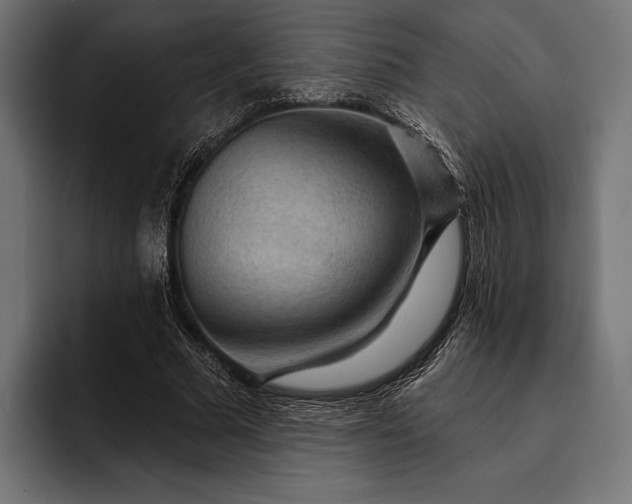 X0000093110681200710101022