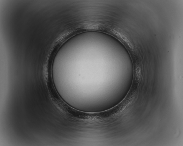 X0000093110682200710101022