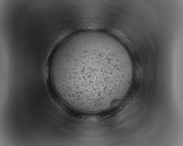 X0000093110683200710101022